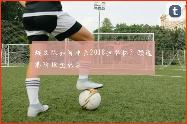 埃及队如何冲击2018世界杯？预选赛阶段全记录