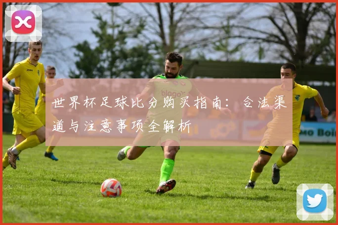 世界杯足球比分购买指南：合法渠道与注意事项全解析