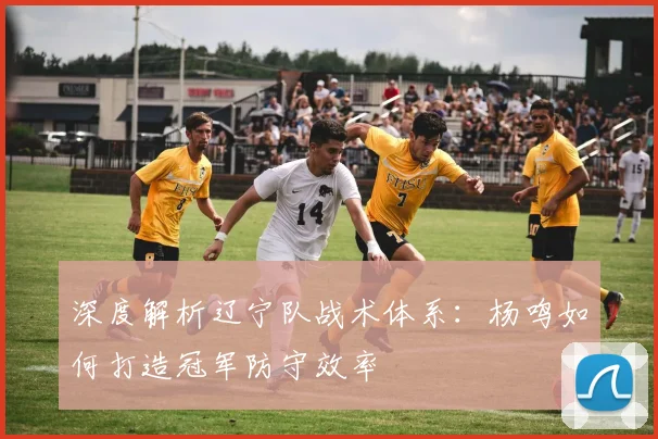 深度解析辽宁队战术体系：杨鸣如何打造冠军防守效率