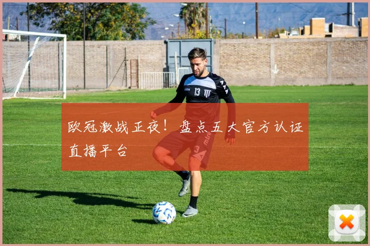 欧冠激战正夜！盘点五大官方认证直播平台